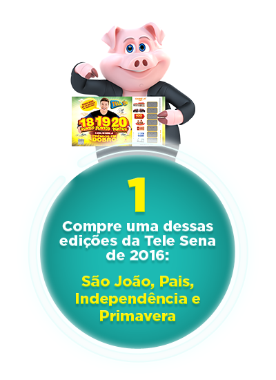 Na compra de uma dessas edições da Tele Sena de 2016: São João, Pais, Independência e Primavera